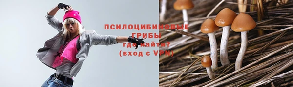 дмт Мегион